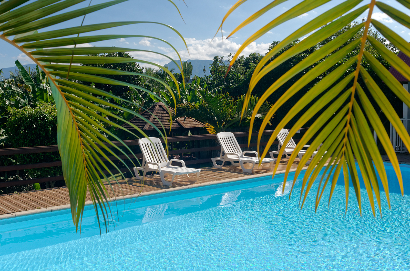 Piscine de la résidence La Palmeraie © Valérie Koch - Tous droits réservés